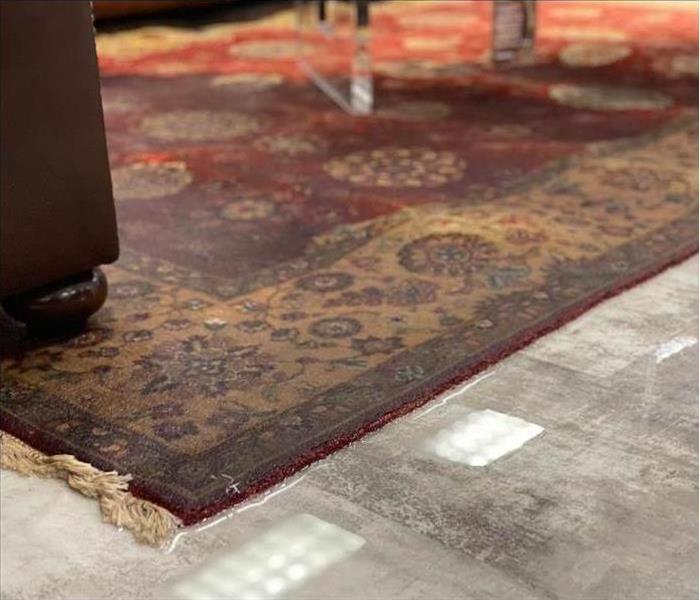 Wet carpet, water standing on carpet, concept of water damage