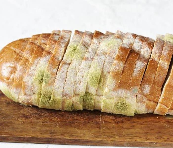 Sliced Loaf of bread with mold growing all over it.