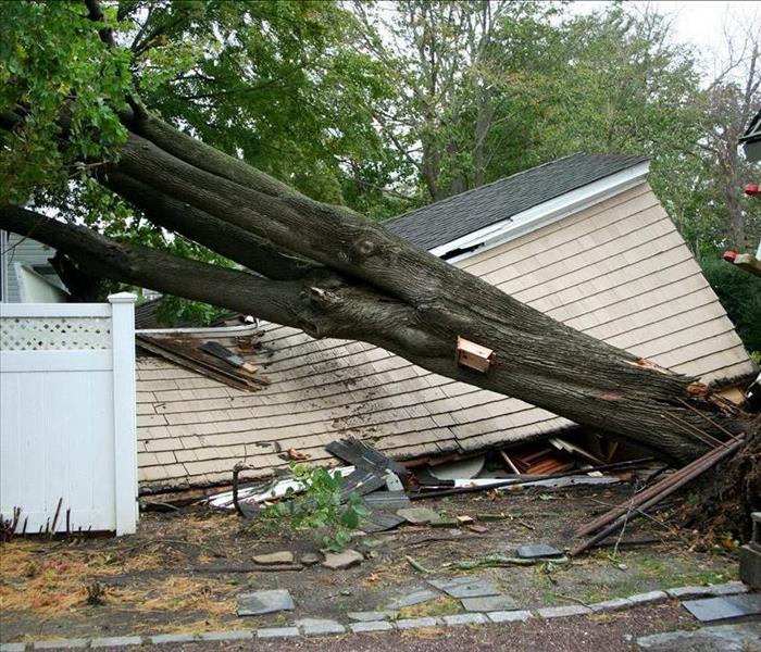 Tree fallen on the roof of a property. Roof damaged by storm