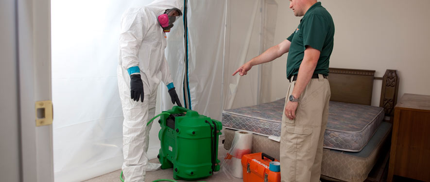Englewood, CO mold removal process